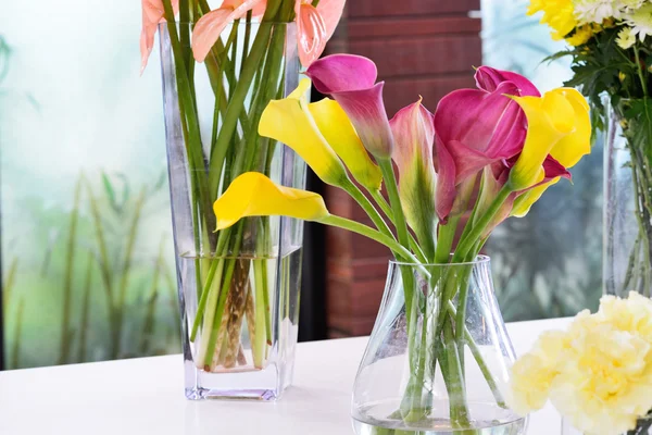 Calla Lilie im Glas — Stockfoto