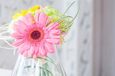 kavanoz içinde gerbera