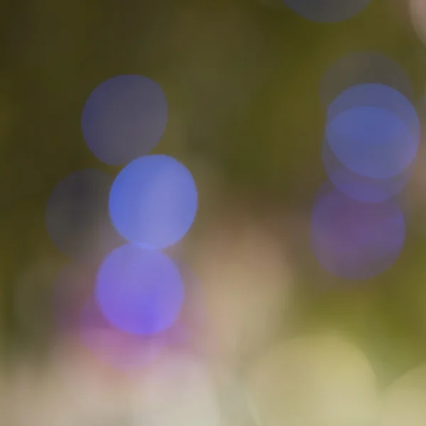 Bokeh lights — Stock Photo, Image