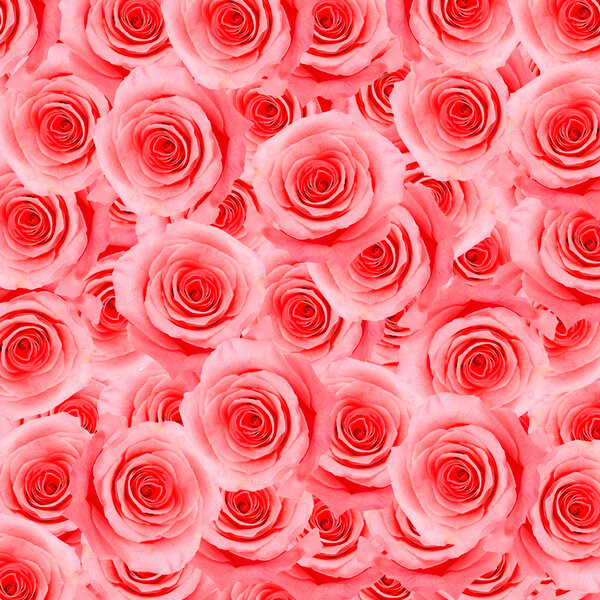 pink rose pattern