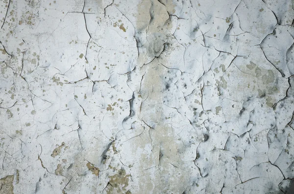 Çimento duvar arka plan — Stok fotoğraf
