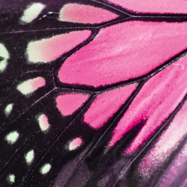 Rosa Schmetterlingsflügel — Stockfoto