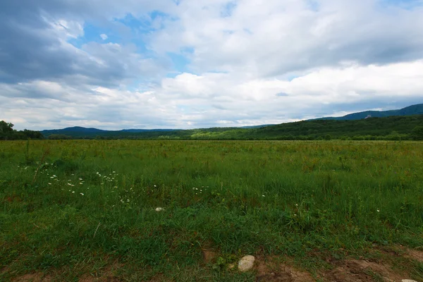 Campo verde e céu azul — Fotografia de Stock