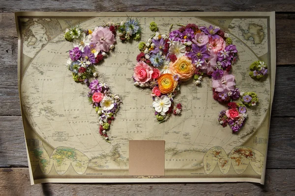 Map with flowers — Stock Photo, Image