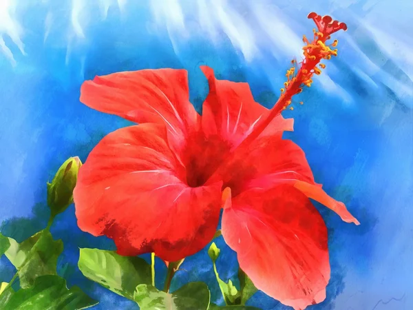Watercolor pattern tropical flower hibiscus.
