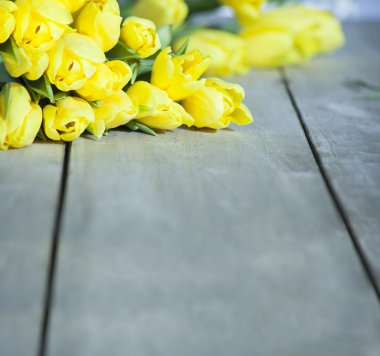 Lale ve metin için yer