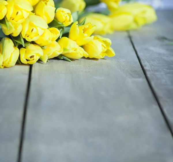 Lale ve metin için yer