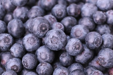 Olgun taze yaban mersini