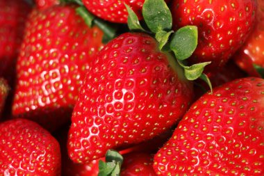 Çilek arka plan Close-Up