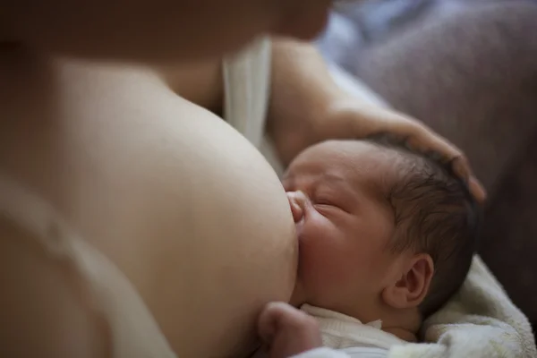 Newborn baby drinking from breast — Stock Photo, Image