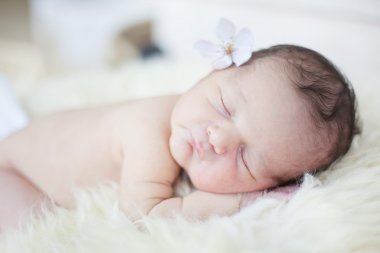 Uyuyan sevimli bebek