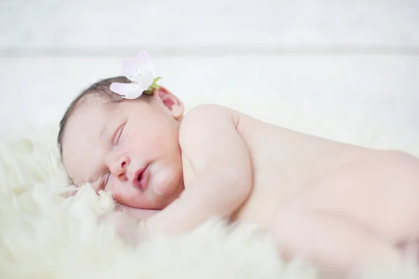 Newborn baby sleeping — Stock Photo, Image