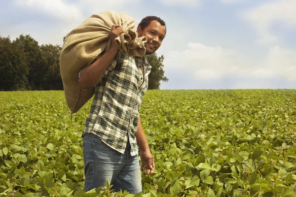 Brasilianska kaffe bonde på kaffeplantagen — Stockfoto