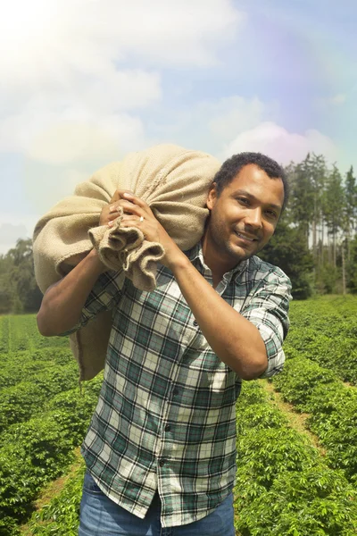 Brasilianischer Kaffeebauer auf Kaffeeplantage — Stockfoto