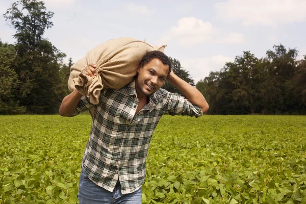 Potato farmer at potato plantation — Stock Photo, Image