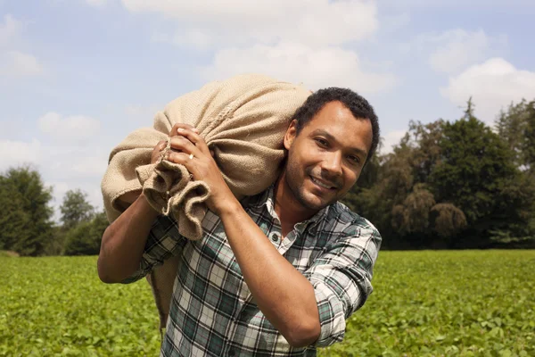 Brasilianischer Kaffeebauer auf Kaffeeplantage — Stockfoto