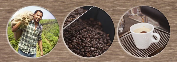 Coffee Process from harvesting to enjoying — Stock Photo, Image