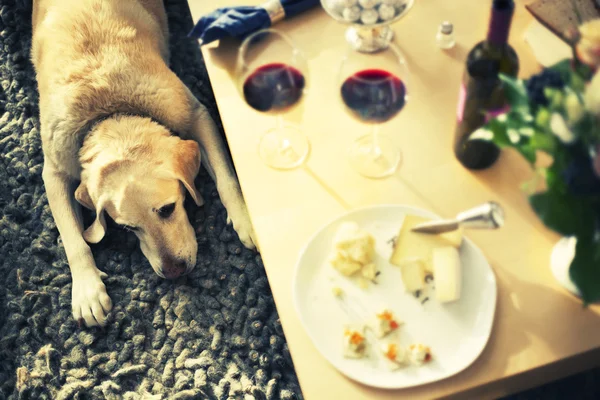 Romantic Dinner with wine — Stock Photo, Image