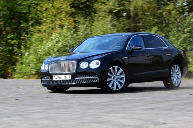 Bentley uçan mahmuz W12