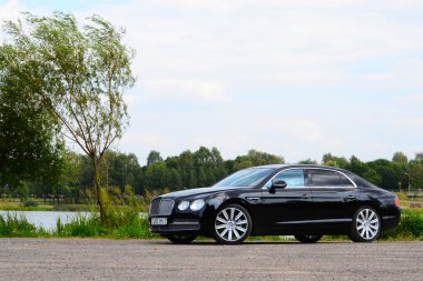 Bentley uçan mahmuz W12