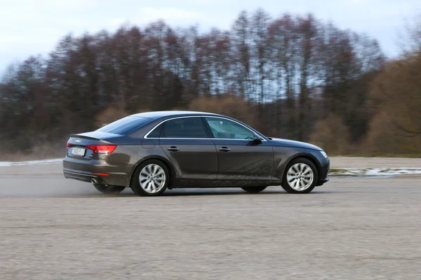 2016 año modelo Audi A4 —  Fotos de Stock