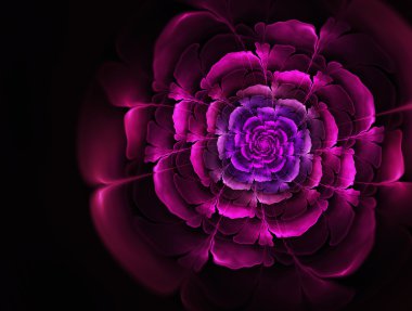 Parlak soyut fraktal çiçekler 