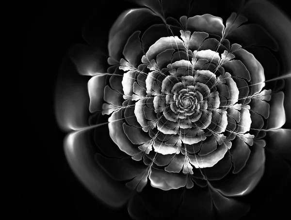 Abstract fractal black and white background with a picture of a — Stock Photo, Image