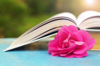 Doğada mavi bir masada açık kitap