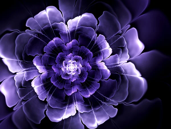 Flores violetas fractais abstratas brilhantes . — Fotografia de Stock
