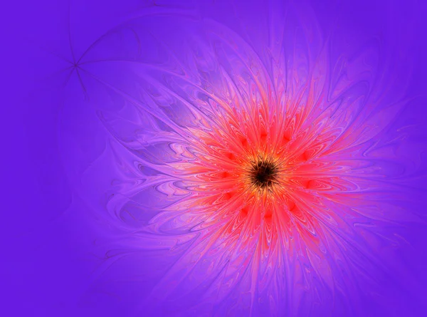 Abstrakte fraktale große rote Blume auf violettem Hintergrund . — Stockfoto