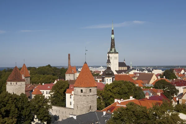 Tallin ciudad vieja — Foto de Stock