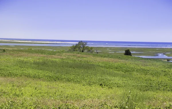 Marsh v Wellfleet, Ma Cape Cod. — Stock fotografie