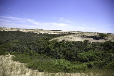 Dunes Provincetown, Ma Cape Cod adlı