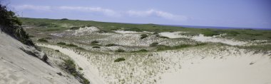 Dunes Provincetown, Ma Cape Cod adlı