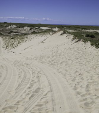 Kum tepeleri Cape Cod üzerinde yolda.