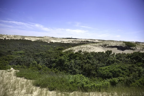 Dunes at Provincetown, MA Cape Cod — Stock Photo, Image