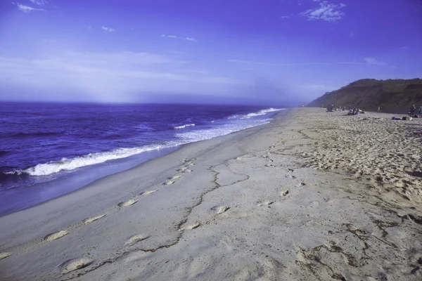 Spiaggia blu nebbiosa a Wellfleet, Massachusetts su Cape Cod . — Foto Stock