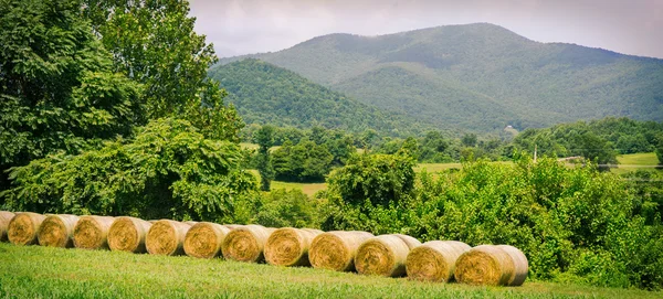 Heuballen auf einem Feld mit blauen Bergrücken im Hintergrund in amissville, virginia. — Stockfoto