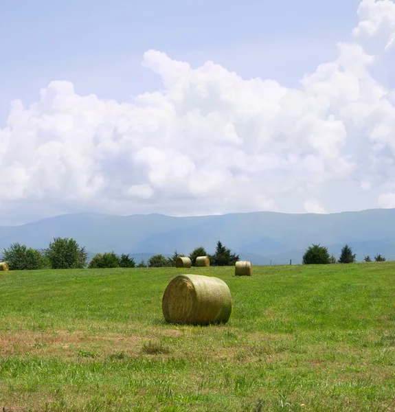 Heu auf einem Feld mit Bergen im Hintergrund in Luray, Jungfrau. — Stockfoto