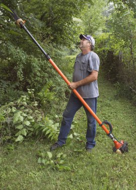 Adam ağaç dalları testere ile kesme