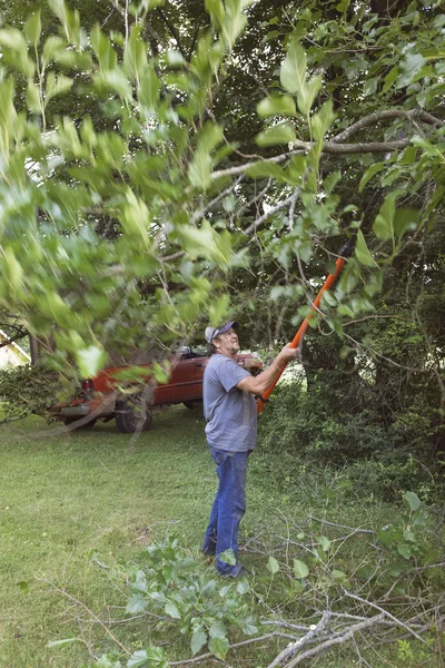Чоловік розпилює гілки дерев — стокове фото