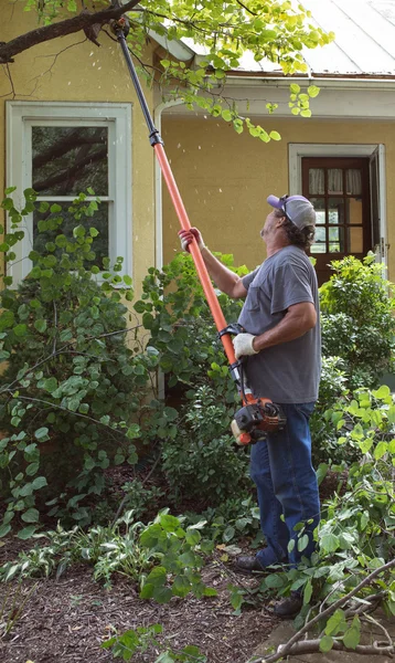 Homme coupant des branches d'arbres devant la maison — Photo