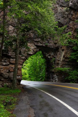 Backbone Rock in Damascus Virginia