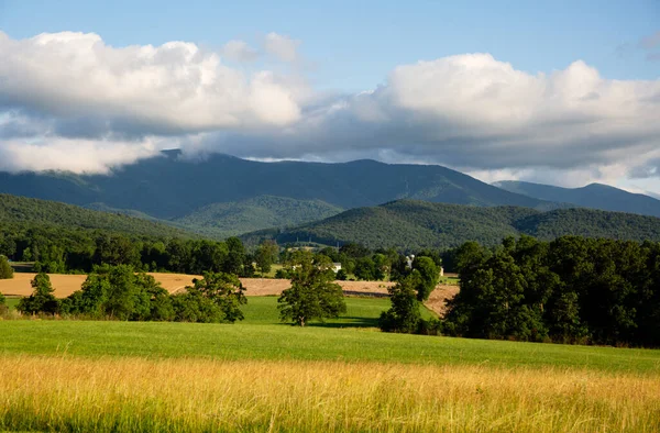 Shenandoah Hegyek Nyílt Mezők Kívül Luray Virginia — Stock Fotó