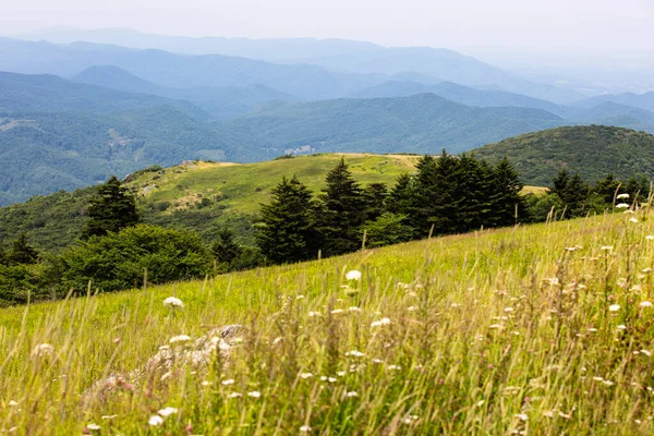 Kilátás Whitetop Mountain Appalache Hegység Virginia — Stock Fotó
