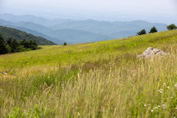 Kilátás Whitetop Mountain Appalache Hegység Virginia — Stock Fotó