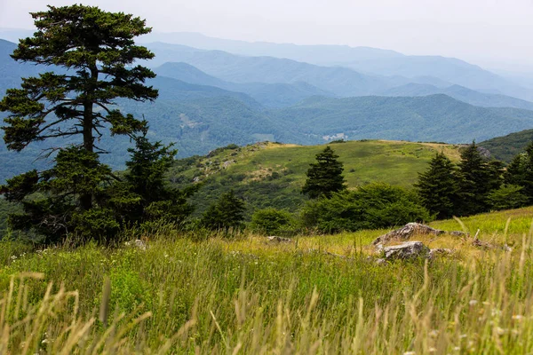 Kilátás Whitetop Mountain Appalache Hegység Virginia — Stock Fotó