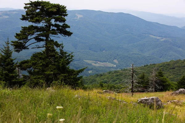 Kilátás Whitetop Mountain Appalache Hegység Virginia — Stock Fotó