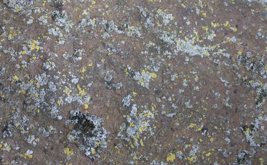 Kaba gri kaya arka plan