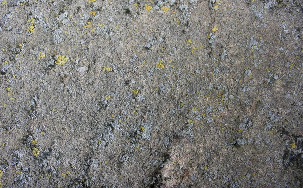 Fondo de roca gris áspero — Foto de Stock